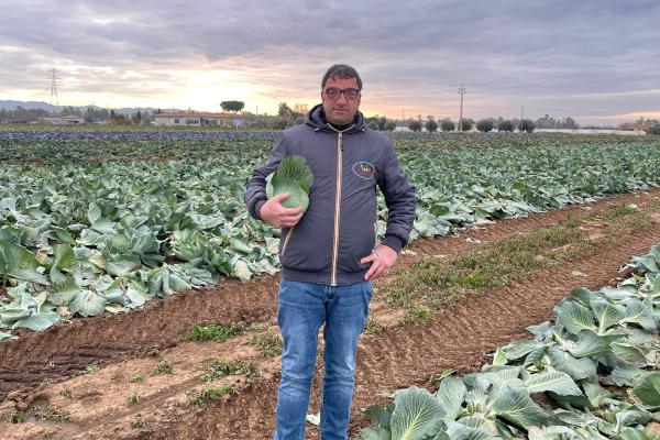 «Costi in aumento, ognuno tira acqua al proprio mulino»
