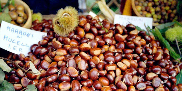 Castagne, «recupero impossibile ma mai dire mai»