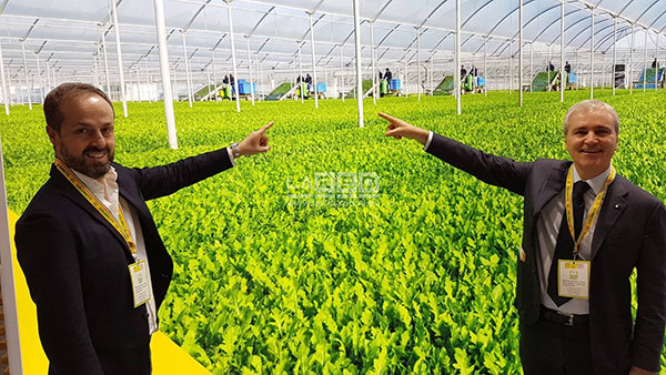 La rucola della Piana del Sele diventa Igp