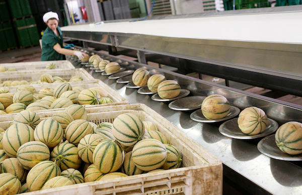 Futuragri diversifica in un'estate di alti e bassi