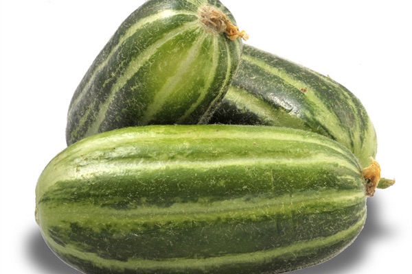 La meloncella di Lecce decolla con Lidl