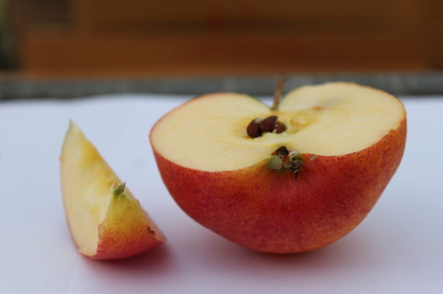 uno spicchio della mela "frizzante"
