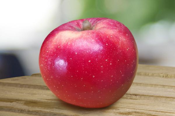 La mela resistente ai cambiamenti climatici