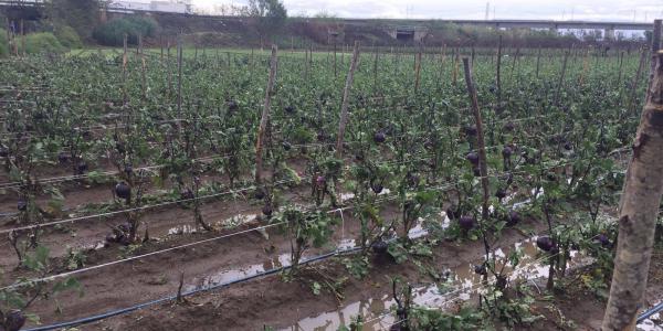 «Con Assincampo diciamo stop ai ritardi di pagamento»
