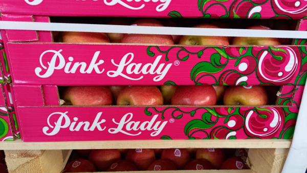 Il bilancio di Pink Lady: bene bio e mele per bambini