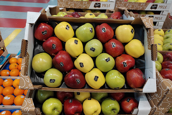 Mele, una sola padella per tre varietà 