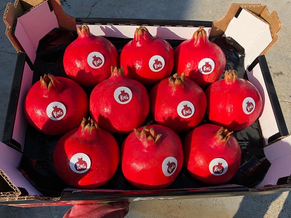 Melograno King: «Ci siamo reinventati con l'e-commerce»