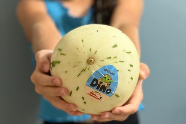 Melone Dino, quando l'originalità fa rima con gusto