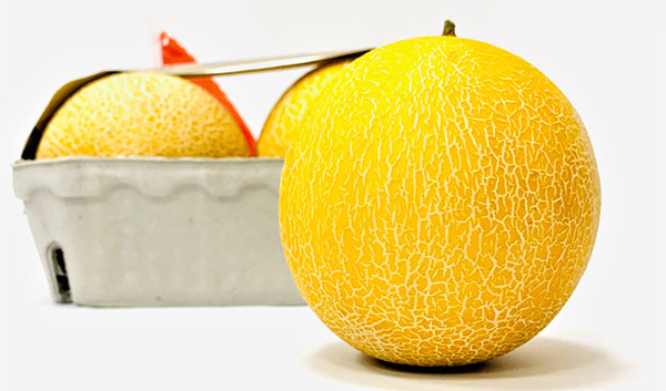 Il melone giallo si fa snack per tutte le occasioni