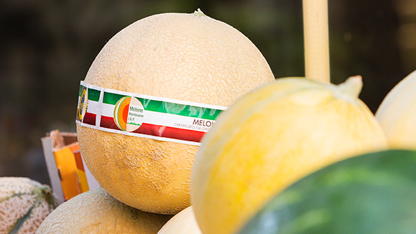 Melone Mantovano, uno spot ne racconta anche il territorio