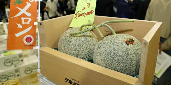 In Giappone meloni all'asta: due frutti ad oltre 40mila euro