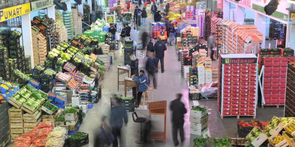 La sfida dei grossisti: più prodotto italiano in Spagna