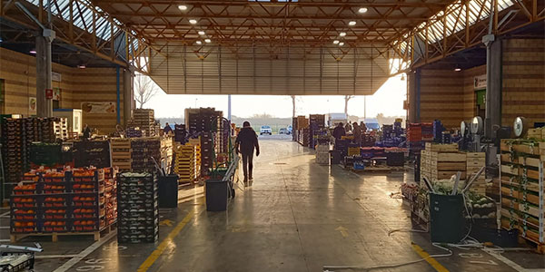 Mercato di Cesena, stand da assegnare