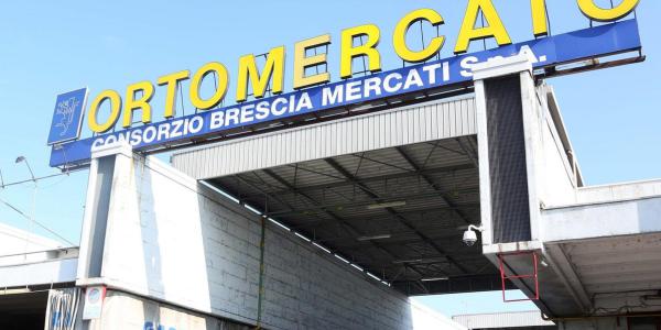 «Agrumi, nei mercati una calma piatta inspiegabile»