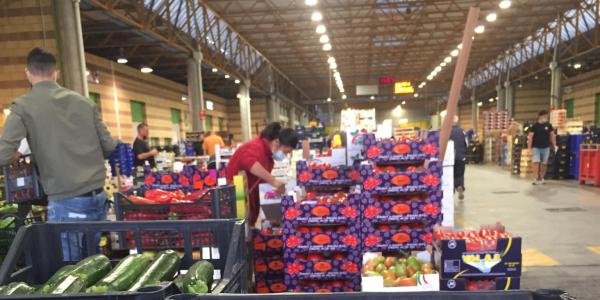 Mercato di Cesena, un milione per rifarsi il look