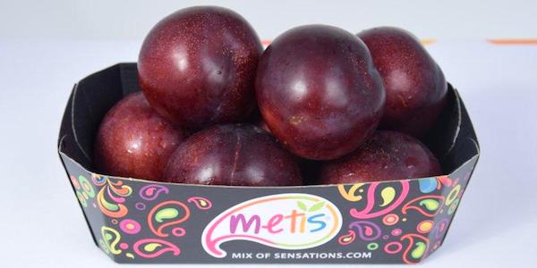 Metis: marketing avvincente per il brand premium