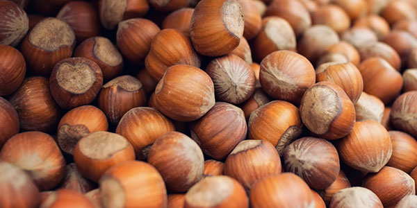 Frutta e Bacche, disponibili anche le nocciole piemontesi