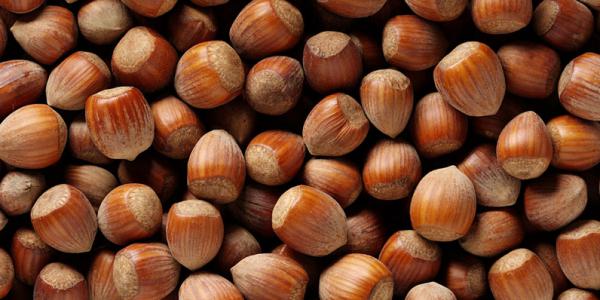 Nocciole, in discussione il regolamento Ue sui dazi