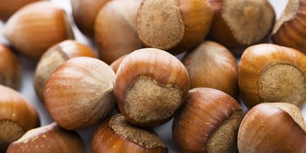 Nocciole, cosa succede in Italia e in giro per il mondo