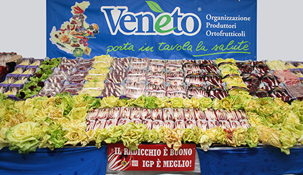 mostra dei radicchi a zero branco