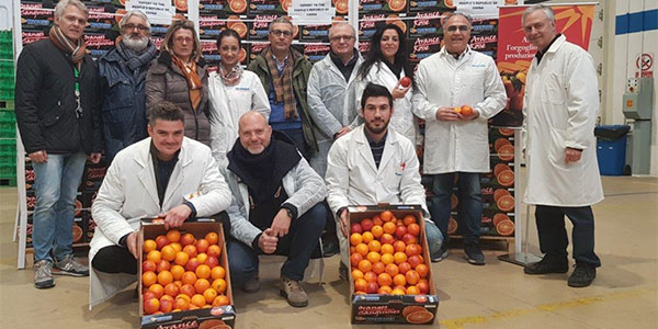 Arance rosse in Cina, Oranfrizer dà il via all'export