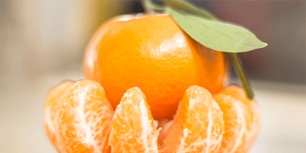 Mandarini «Orri», l'Italia resta alla finestra 