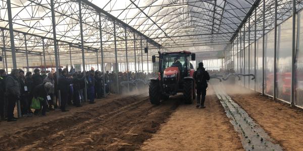 Orticoltura tecnica in campo, partenza col botto