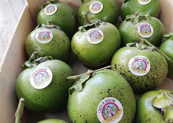 Black Sapote, il frutto esotico dalla polpa nera