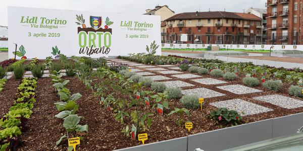 Lidl inaugura il primo negozio con l'orto sul tetto