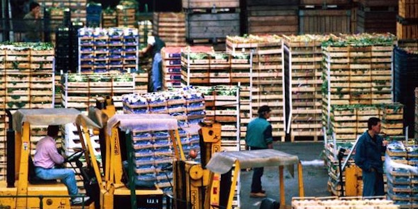 Orari dei Centri agroalimentari, Fedagro: ora o mai più