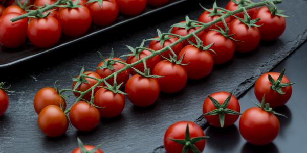 Alla ricerca del ciliegino perfetto per la Gdo