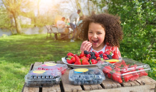 Driscoll's e Plenty, un'alleanza verticale per le fragole