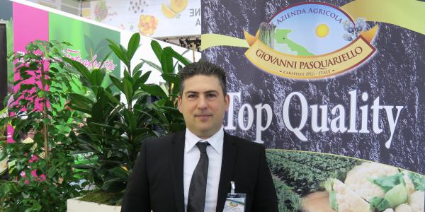 Broccoli, al via la raccolta in Puglia