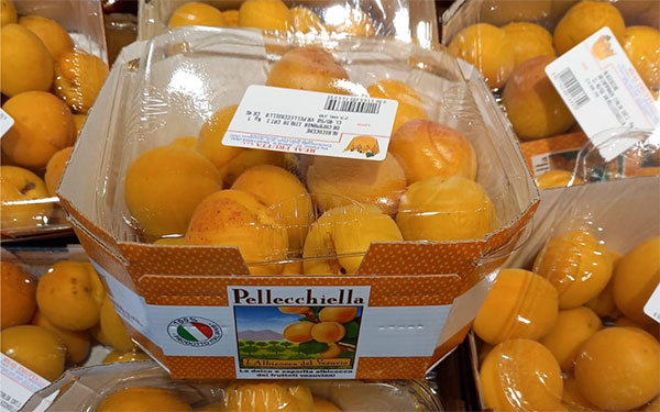 Albicocche, una qualità sensazionale per la Pellecchiella del Vesuvio