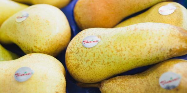 Pere Illuminati Frutta