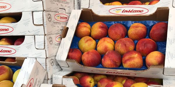 Pesche Nettarine Mercato di Bergamo