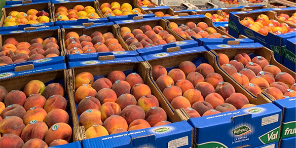 «Un agosto effervescente per angurie e pesche»