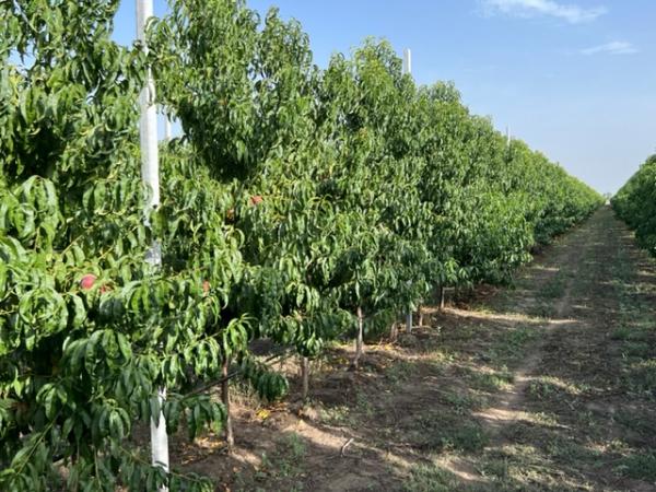 «Ecco come si lavora a due passi dal fronte»