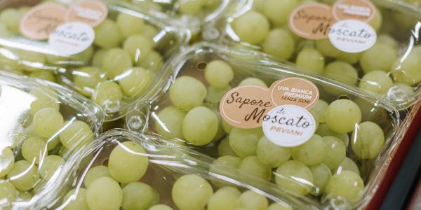 «Uve seedless, ecco la più promettente»