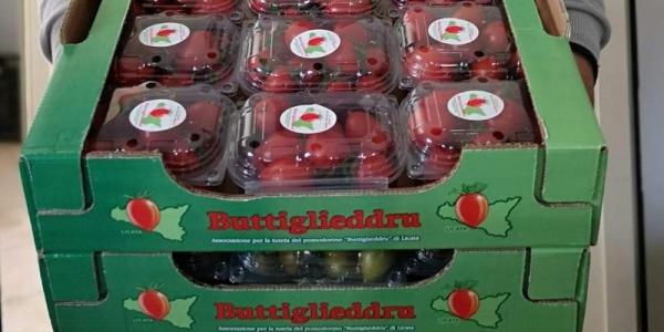 Sicilia, il pomodoro Buttiglieddru di Licata sogna l'Igp