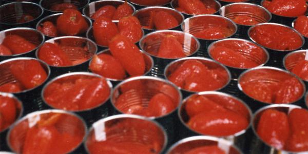 Conserve, i giovani si concentrano sull'etichetta