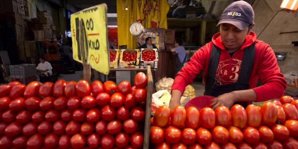 La megalopoli del pomodoro «bastona» l'Europa