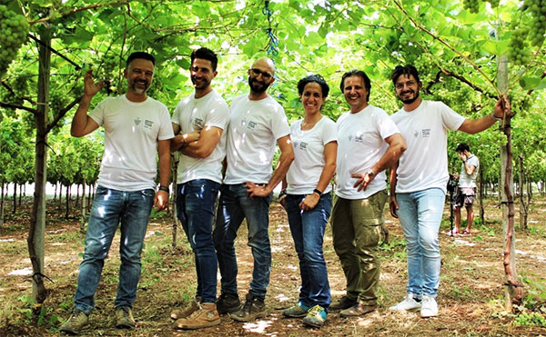Uva da tavola, «Bella vigna» premia l’innovazione 