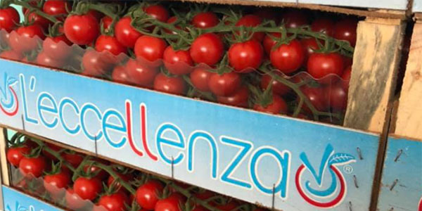 «Pomodori, vi spiego perchè i prezzi sono così alti»