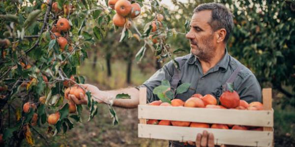 Manodopera, situazione drammatica