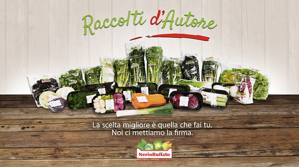 Nuovo packaging green per l'indivia scarola di Nerio Ruffato