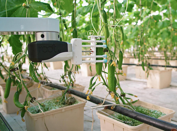 Statale di Milano, sviluppato un robot per l'agricoltura 
