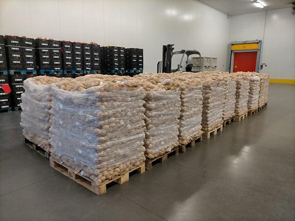 Romagnoli solidale: donate 50 tonnellate di patate