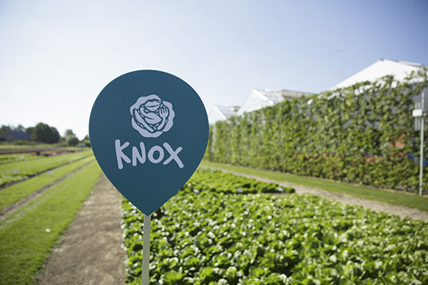 Rijk Zwaan, la sostenibilità della filiera parte dal seme