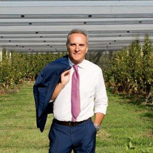 Marco Salvi Fruitimprese